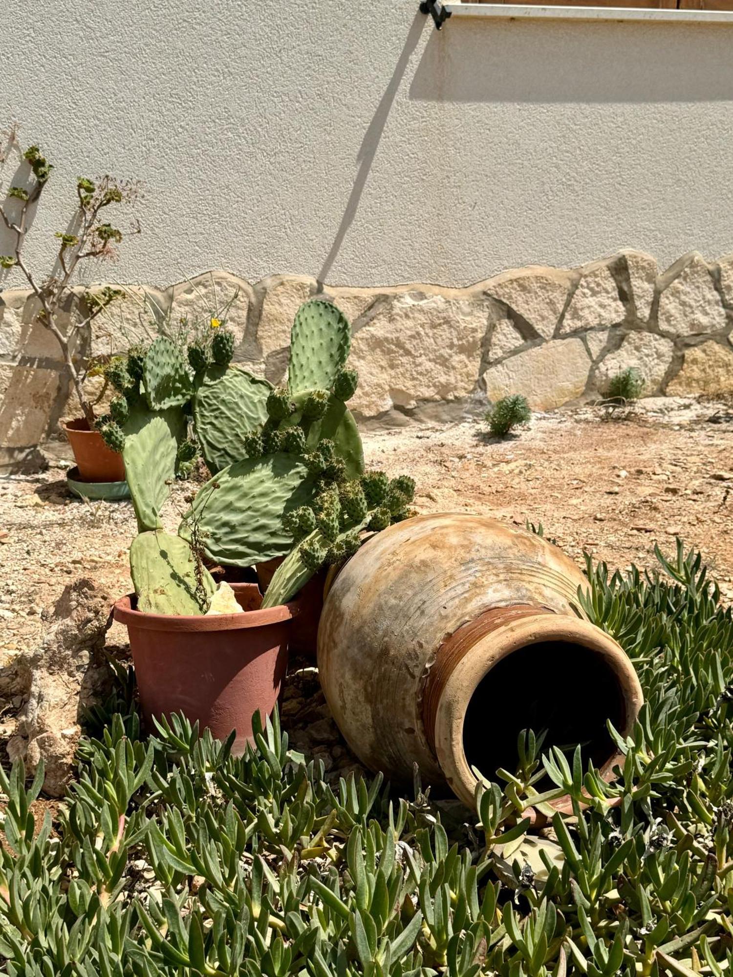 Aria Case Vacanze Favignana Kültér fotó